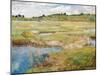 The Concord Meadow, Concord, Massachusetts-Childe Hassam-Mounted Premium Giclee Print