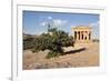 The Concordia Temple-Oliviero Olivieri-Framed Photographic Print