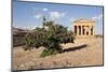 The Concordia Temple-Oliviero Olivieri-Mounted Photographic Print