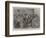 The Condemnation of Captain Dreyfus, What Paris Thinks-Henri Lanos-Framed Giclee Print