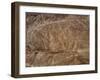 The Condor Geoglyph, aerial view, Nazca, UNESCO World Heritage Site, Ica Region, Peru, South Americ-Karol Kozlowski-Framed Photographic Print