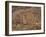 The Condor Geoglyph, aerial view, Nazca, UNESCO World Heritage Site, Ica Region, Peru, South Americ-Karol Kozlowski-Framed Photographic Print