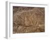 The Condor Geoglyph, aerial view, Nazca, UNESCO World Heritage Site, Ica Region, Peru, South Americ-Karol Kozlowski-Framed Photographic Print