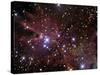 The Cone Nebula and Christmas Tree Cluster-Stocktrek Images-Stretched Canvas