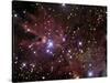 The Cone Nebula and Christmas Tree Cluster-Stocktrek Images-Stretched Canvas