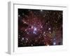 The Cone Nebula and Christmas Tree Cluster-Stocktrek Images-Framed Photographic Print