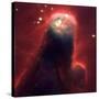 The Cone Nebula, Hubble Space Telescope-null-Stretched Canvas