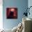 The Cone Nebula, Hubble Space Telescope-null-Premium Photographic Print displayed on a wall