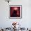 The Cone Nebula, Hubble Space Telescope-null-Framed Photographic Print displayed on a wall