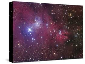 The Cone Nebula-Stocktrek Images-Stretched Canvas