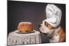 The Confectioner and His Masterpiece-Heike Willers-Mounted Photographic Print
