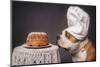 The Confectioner and His Masterpiece-Heike Willers-Mounted Photographic Print