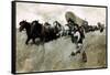 The Connecticut Settlers Entering the Western Reserve-Howard Pyle-Framed Stretched Canvas
