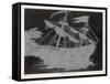 The Constellation Arco Navis Which Takes the Form of a Sailing Ship-Charles F. Bunt-Framed Stretched Canvas