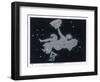 The Constellation of Andromeda-Charles F. Bunt-Framed Art Print