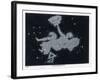 The Constellation of Andromeda-Charles F. Bunt-Framed Art Print