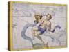 The Constellation of Aquarius by James Thornhill-Stapleton Collection-Stretched Canvas