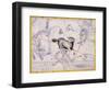 The Constellation of Aries by James Thornhill-Stapleton Collection-Framed Giclee Print