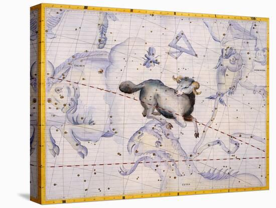 The Constellation of Aries by James Thornhill-Stapleton Collection-Stretched Canvas