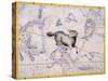 The Constellation of Aries by James Thornhill-Stapleton Collection-Stretched Canvas