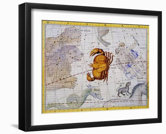 The Constellation of Cancer by James Thornhill-Stapleton Collection-Framed Giclee Print