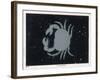 The Constellation of Cancer the Crab-Charles F. Bunt-Framed Art Print