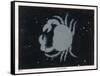 The Constellation of Cancer the Crab-Charles F. Bunt-Framed Stretched Canvas