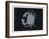 The Constellation of Cancer, the Crab-null-Framed Art Print