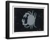 The Constellation of Cancer, the Crab-null-Framed Art Print