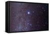 The Constellation of Canis Major and Nearby Open Clusters and Nebulae-null-Framed Stretched Canvas