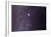 The Constellation of Canis Major and Nearby Open Clusters and Nebulae-null-Framed Photographic Print