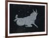 The Constellation of Capricorn-Charles F. Bunt-Framed Art Print