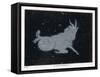 The Constellation of Capricorn-Charles F. Bunt-Framed Stretched Canvas