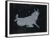 The Constellation of Capricorn-Charles F. Bunt-Framed Stretched Canvas