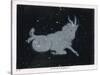 The Constellation of Capricorn-Charles F. Bunt-Stretched Canvas