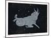 The Constellation of Capricorn-null-Mounted Art Print
