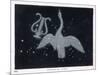 The Constellation of Cygnus, a Flying Swan, and Lyra, That of an Ancient Greek Lyre-Charles F. Bunt-Mounted Art Print