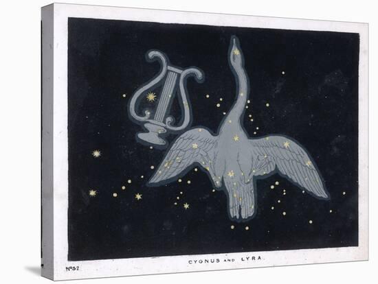 The Constellation of Cygnus, a Flying Swan, and Lyra, That of an Ancient Greek Lyre-Charles F. Bunt-Stretched Canvas