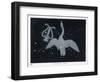 The Constellation of Cygnus, a Flying Swan, and Lyra, That of an Ancient Greek Lyre-Charles F. Bunt-Framed Art Print