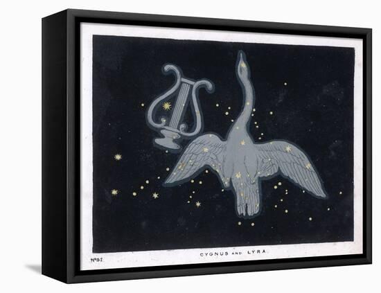 The Constellation of Cygnus, a Flying Swan, and Lyra, That of an Ancient Greek Lyre-Charles F. Bunt-Framed Stretched Canvas