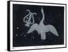 The Constellation of Cygnus, a Flying Swan, and Lyra, That of an Ancient Greek Lyre-Charles F. Bunt-Framed Stretched Canvas