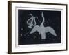 The Constellation of Cygnus, a Flying Swan, and Lyra, That of an Ancient Greek Lyre-Charles F. Bunt-Framed Art Print