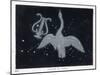 The Constellation of Cygnus, a Flying Swan, and Lyra, That of an Ancient Greek Lyre-Charles F. Bunt-Mounted Art Print