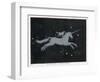 The Constellation of Monoceros, a Unicorn, and Canis Minor, a Small Dog-Charles F. Bunt-Framed Photographic Print