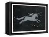 The Constellation of Monoceros, a Unicorn, and Canis Minor, a Small Dog-Charles F. Bunt-Framed Stretched Canvas