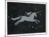 The Constellation of Monoceros, a Unicorn, and Canis Minor, a Small Dog-Charles F. Bunt-Mounted Photographic Print
