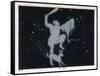 The Constellation of Orion One of the Most Brilliant in the Heavens-Charles F. Bunt-Framed Stretched Canvas