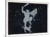 The Constellation of Orion One of the Most Brilliant in the Heavens-Charles F. Bunt-Stretched Canvas