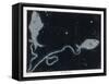 The Constellation of Pisces, the Fish-null-Framed Stretched Canvas