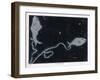 The Constellation of Pisces, the Fish-null-Framed Art Print